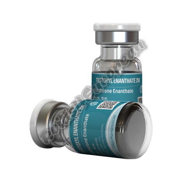 (Kalpa Pharma) Testoxyl Enanthaat 250